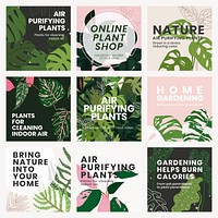 Social media plant template vector leaf set