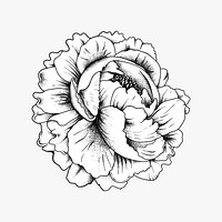 Vintage outline rose old school flash tattoo design symbol vector