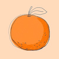 Fruit doodle orange logo vector hand drawn