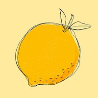Cute doodle art lemon vector fruit