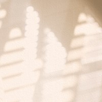 Aesthetic window shadow beige on texture background