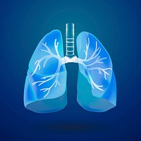 Blue human lungs psd medical graphic