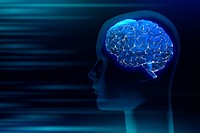 Human brain medical digital illustration 