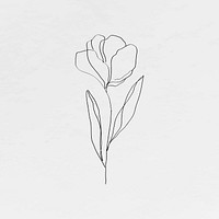 Tulip flower vector line art minimal black illustration
