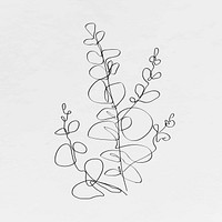 Eucalyptus leaf vector line art minimal black illustration