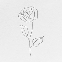 Rose flower psd line art minimal black illustration
