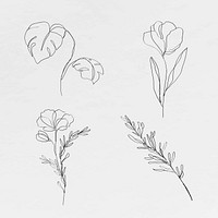 Botanic line art flowers vector minimal abstract drawings collection