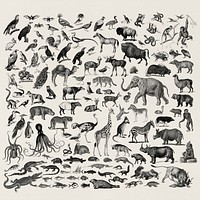 Vintage illustrations of animals