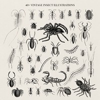 Illustration set of various insects