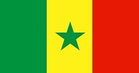 The national flag of Senegal vector