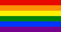 The rainbow flag gay pride vector