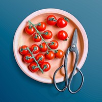 Cherry tomatoes on a plate with Japanese scissors, food photography psd