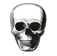 Vintage llustration of skull published in 1843 by <a href="https://www.rawpixel.com/search/John%20Lloyd%20Stephens?&amp;page=1">John Lloyd Stephens</a> (1805-1852).