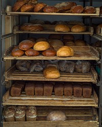 Free shelf of bread in bakery shop image, public domain food CC0 photo.