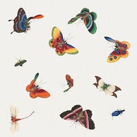 Beautiful vintage Chinese butterfly and insect illustrations set mockup