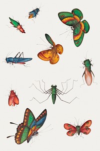 Beautiful vintage Chinese butterfly and insect illustrations set mockup