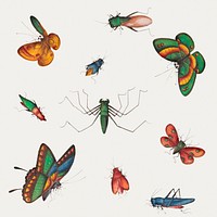 Beautiful vintage Chinese butterfly and insect illustrations set mockup