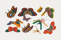 Chinese butterfly and insect painting from the Qing Dynasty (1644&ndash;1911) by anonymous. Original from The MET Museum. Digitally enhanced by rawpixel.