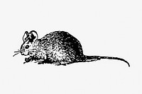 Vintage European style mouse engraving from Messia by <a href="https://www.rawpixel.com/search/Ll.D.%20Samuel%20Johnson?sort=curated&amp;page=1">Ll.D. Samuel Johnson</a> (1709&ndash;1784). Original from the British Library. Digitally enhanced by rawpixel.