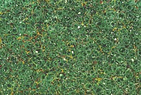 Abstract green pattern background. Remixed by rawpixel.