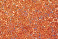 Abstract orange pattern background. Remixed by rawpixel.