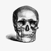 Vintage European style skull engraving from Annals of Winchcombe and Sudeley by <a href="https://www.rawpixel.com/search/Emma%20Dent?sort=curated&amp;page=1">Emma Dent</a> (1877). Original from the British Library. Digitally enhanced by rawpixel.