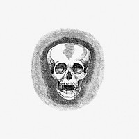 Skull from Two Years in Peru (1873) published by <a href="https://www.rawpixel.com/search/Daniel%20Berrera?sort=curated&amp;page=1">Daniel Berrera</a>. Original from the British Library. Digitally enhanced by rawpixel.