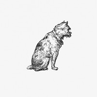 A sitting dog from The New Hyperion. From Paris to Marly by way of the Rhine (1875) published by <a href="https://www.rawpixel.com/search/Edward%20Strahan?sort=curated&amp;page=1">Edward Strahan</a>. Original from the British Library. Digitally enhanced by rawpixel.