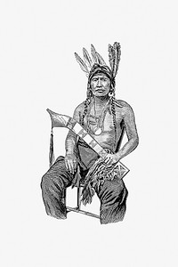 Native American man from The History of Benton County, Iowa published by Western Historical Co. (1878). Original from the British Library. Digitally enhanced by rawpixel.