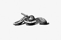Drawing of kitchenware from Portuguese