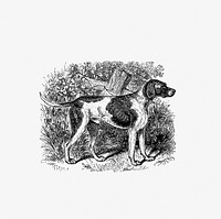 Rustic pet dog published by <a href="https://www.rawpixel.com/search/William%20Blackwood%20%26%20Sons?sort=curated&amp;page=1">William Blackwood &amp; Sons</a> (1840). Original from the British Library. Digitally enhanced by rawpixel.