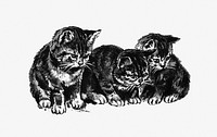 Drawing of kittens