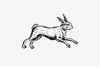 Hare from The Works Of John Collier-Tim-Bobbin-In Prose And Verse published by <a href="https://www.rawpixel.com/search/James%20Clegg?sort=curated&amp;page=1">James Clegg</a> (1894). Original from the British Library. Digitally enhanced by rawpixel.