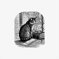 Domestic cat from Aileen Aroon, A Memoir Of A Dog. With Other Tales Of Faith Friends And Favourites, Sketched From The Life published by Bradbury & Evans (1858). Original from the British Library. Digitally enhanced by rawpixel.