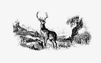 Wild deer from The Poetical Works Of Oliver Goldsmith (1888). Original from the British Library. Digitally enhanced by rawpixel.