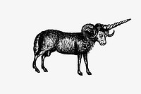 Vintage Victorian style goat engraving. Original from the British Library. Digitally enhanced by rawpixel.