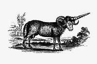 Vintage Victorian style goat engraving