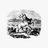 Barbekark dogs hunting the reindeer illustration