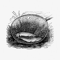 Two fishes caught on a net illustration from Canoe and camera a two hundred mile tour through the Maine forests by <a href="https://www.rawpixel.com/search/T.S.%20Steele?sort=curated&amp;page=1">T.S. Steele</a> (1880). Original from the British Library. Digitally enhanced by rawpixel.