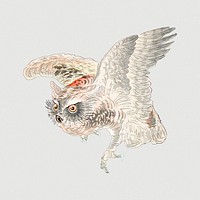 Vintage illustration of scops owl on off white background