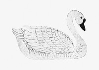 Gray goose bird design element