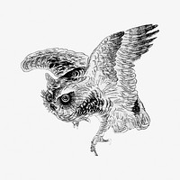Vintage illustration of scops owl on off white background