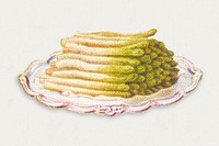 Vintage hand drawn asparagus design element