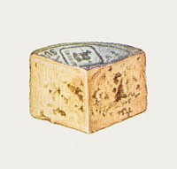 Vintage hand drawn blue cheese design element