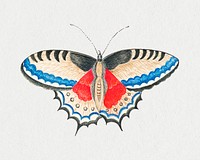 Butterfly psd, remixed from the 18th-century artworks from the Smithsonian archive.