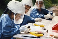 Health officials inspecting specimens suspected of being connected to a hantavirus outbreak.