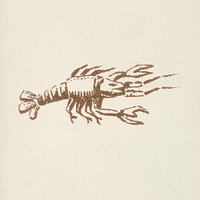 Lobster icon from L&#39;ornement Polychrome (1888) by<a href="https://www.rawpixel.com/search/Albert%20Racinet?&amp;page=1"> Albert Racinet </a>(1825&ndash;1893). Digitally enhanced from our own original 1888 edition.