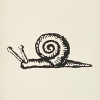 Snail icon from L&#39;ornement Polychrome (1888) by <a href="https://www.rawpixel.com/search/Albert%20Racinet?&amp;page=1">Albert Racinet </a>(1825&ndash;1893). Digitally enhanced from our own original 1888 edition.