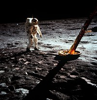 Astronaut Edwin E. Aldrin Jr., lunar module pilot, walks on the surface of the moon near a leg of the Lunar Module during the Apollo 11 extravehicular activity (EVA).