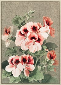 Christmas card depicting cherry blossoms from The Miriam And Ira D. Wallach Division Of Art, Prints and Photographs: Picture Collection by <a href="https://www.rawpixel.com/search/Ellen%20T.%20Fisher?sort=curated&amp;page=1">Ellen T. Fisher</a> (1847 &ndash;1911). Original From The New York Public Library. Digitally enhanced by rawpixel.